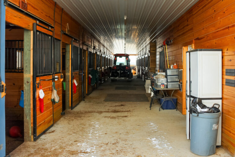 skid steer in a horse barn to clean stalls
