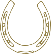 outline image of a horseshoe